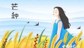 芒种到了 芒种是什么意思