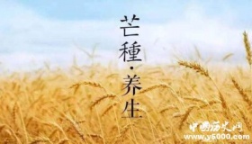 芒种时节与养生