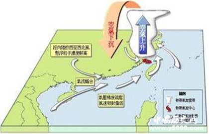 热带气旋形成的原因_热带气旋分布的地区_中国历史网