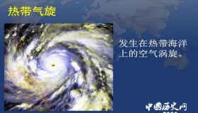 热带气旋主要分布地区都有哪里