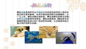 你知道那些濒危动物濒危的原因吗