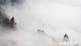 雾是怎么形成的 “雾霾”中 “雾”与“霾”有什么不同