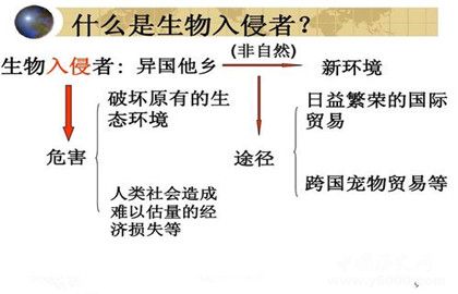 生物入侵的方式_生物入侵的危害与防治措施_中国历史网