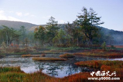 沼泽是怎么形成的_沼泽的作用价值_中国历史网