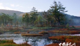 我们该如何帮助沼泽实现“自身价值”