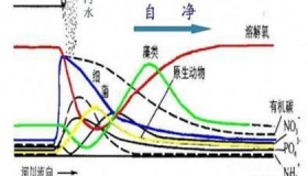 神奇的大自然的是如何完成自净的