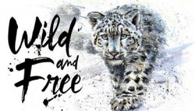 我们怎样保护那些濒危的雪豹