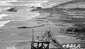 我们有哪些措施去阻止海洋的荒漠化