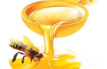 蜂蜜是怎么来的_蜂蜜的功效_中国历史网