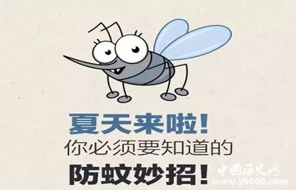 教你夏季如何更有效的驱蚊