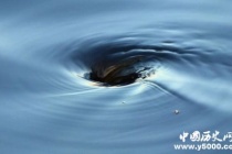 中尺度涡旋——海洋中的黑洞