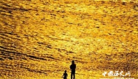 如何从海水中提取黄金