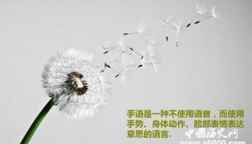 手语是在什么背景下产生的