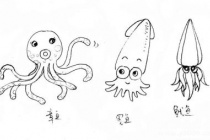 章鱼、乌贼、鱿鱼的区别有哪些