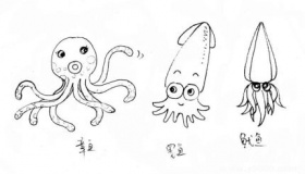 章鱼、乌贼、鱿鱼的区别有哪些