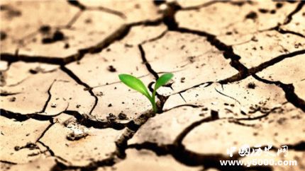 世界防治荒漠化日和干旱日是几月几日_世界防治荒漠化日和干旱日主题