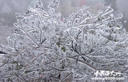 冻雨的形成的原因与危害_冻雨的预防措施_中国历史网