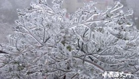 冻雨的成因危害及其预防措施