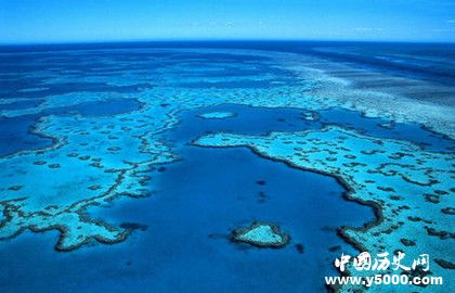 大堡礁在哪_大堡礁有什么动物_中国历史网
