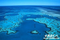 你对大堡礁的了解有多少
