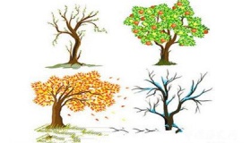 四季各自的特点与交替的原因