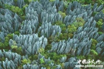 喀斯特地貌的特征及形成原因