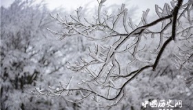 雾凇的成因与著名观赏地点