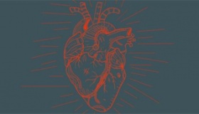 我国自主研制成功全磁悬浮人工心脏