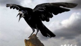 满族为什么崇拜乌鸦