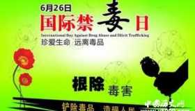 国际禁毒日：无毒青春 健康生活