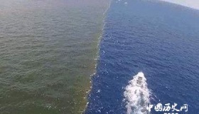 井水不犯河水最初指代的是什么你知道吗