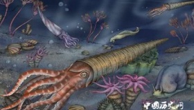 奥陶纪：第一次生物大灭绝