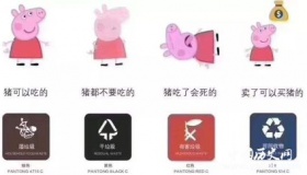 垃圾分类的种类有哪些