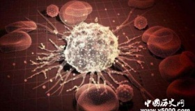 研究人员发现癌症自我毁灭方法