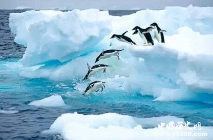 南极海冰面积骤减_南极海冰面积骤减有什么影响