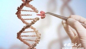 基因编辑技术成功清除HIV病毒