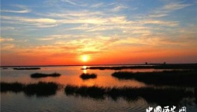 盐城通过 中国再添一处世遗