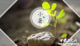 小暑和入伏有什么区别