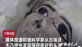 木乃伊现3000年前头发 是用香油护发的吗