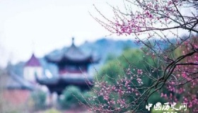 中国七大梅园分别是哪里你知道吗