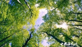 2019三伏天从什么时候开始