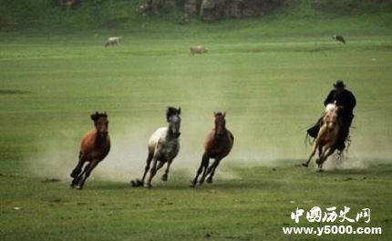 蒙古族为什么被称作马背上的民族