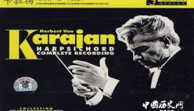 卡拉扬的指挥风格与人物评价