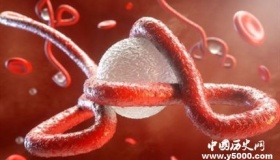 揭秘“丧尸”病毒埃博拉