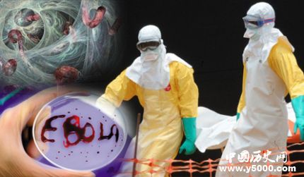 揭秘“丧尸”病毒埃博拉