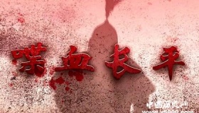 喋血长平纪录片内容讲的什么历史事件