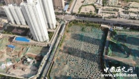 西安一工地发现战国墓葬群