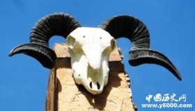 羌族为何会用羊来做民族图腾