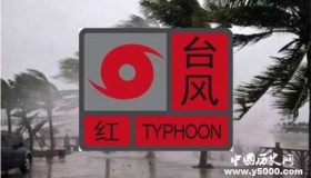 台风来临时的红色预警信号有什么含义