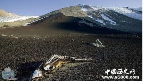 1979年昆仑山事件：中国最为神秘和诡异的地方